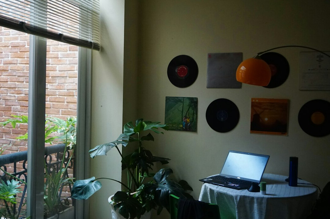 indoor plants in apartment
