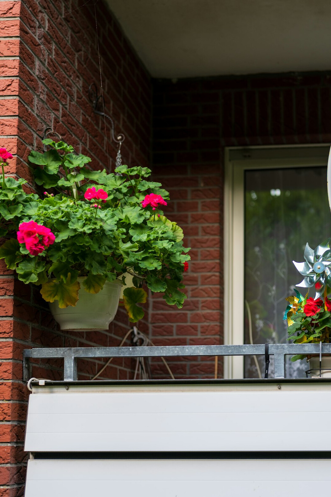 Small apartment balcony with potted herbs and flowering geraniums