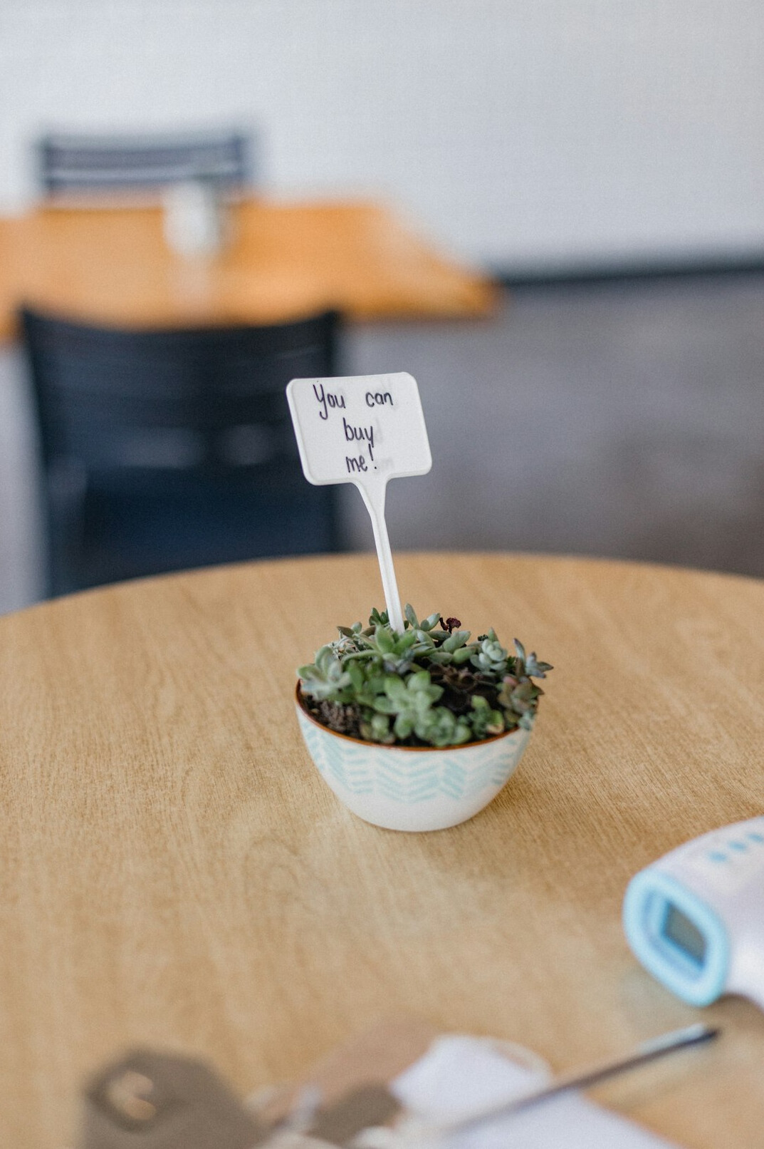Printed plant care checklist on a table with a pencil and a small plant