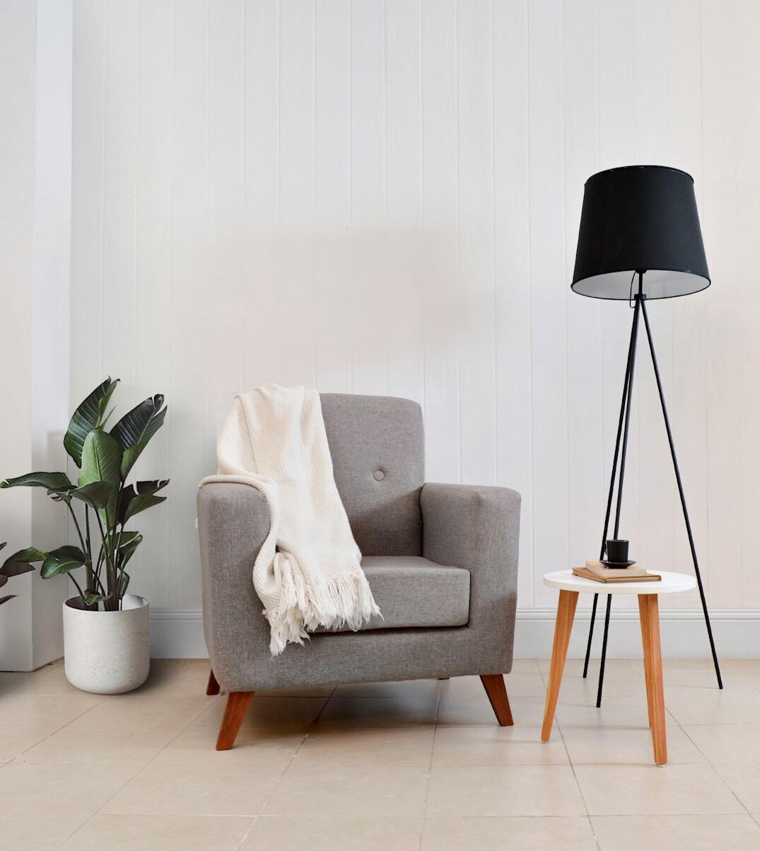 modern living room with indoor plants