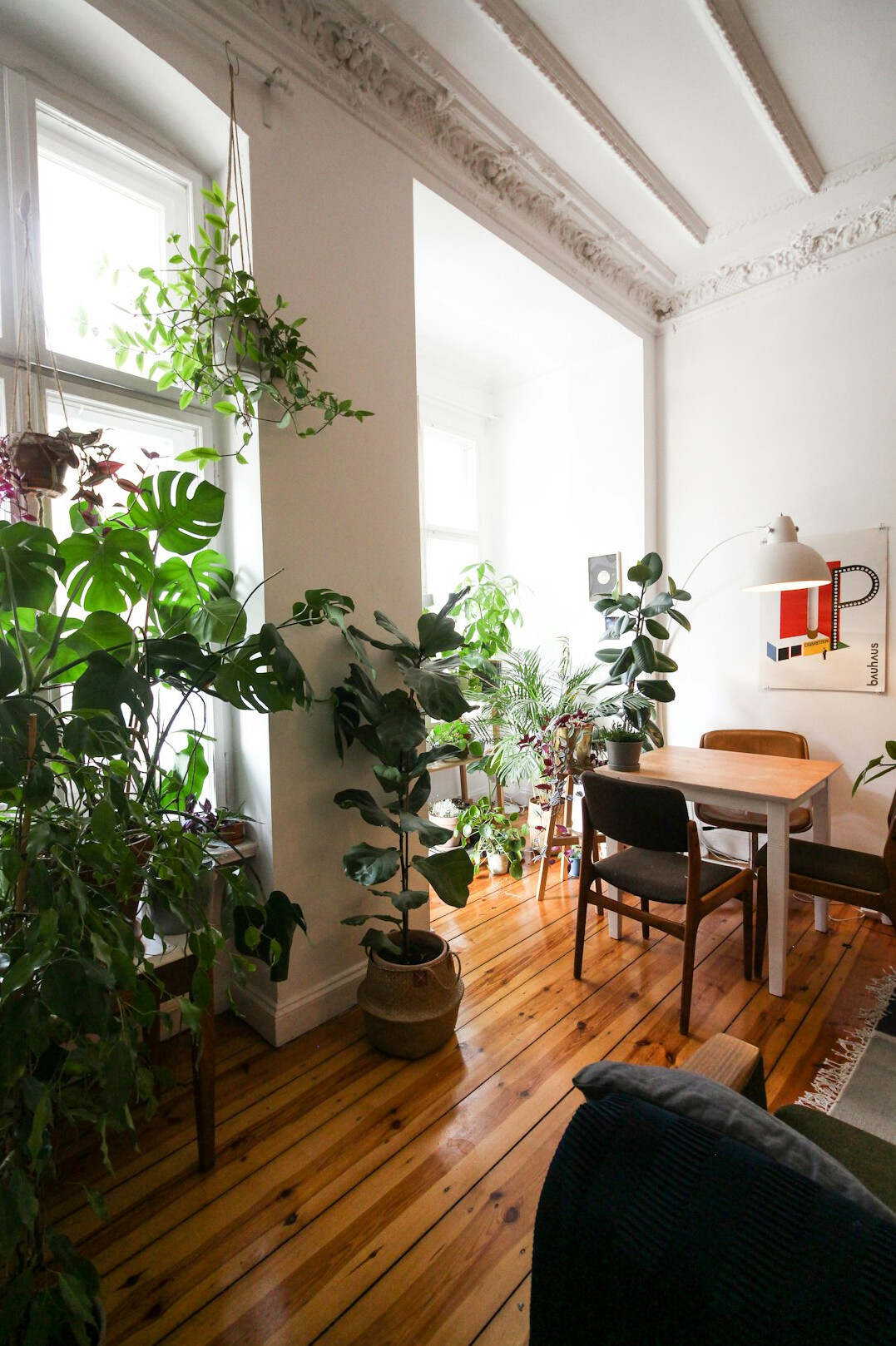 Bright living room corner with monstera and potted plants on a wooden shelf