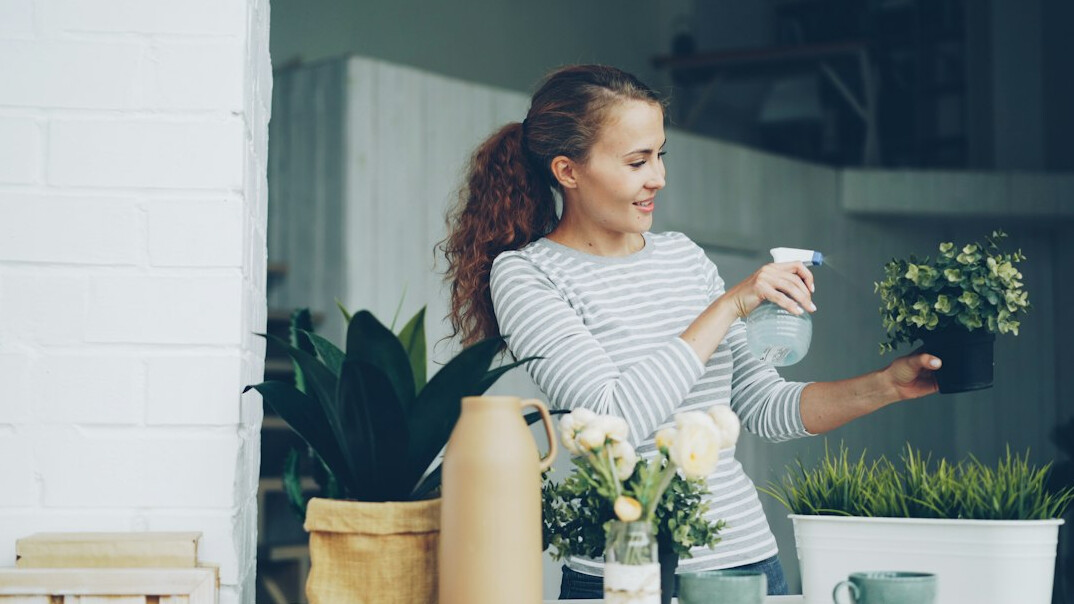 woman watering indoor plants