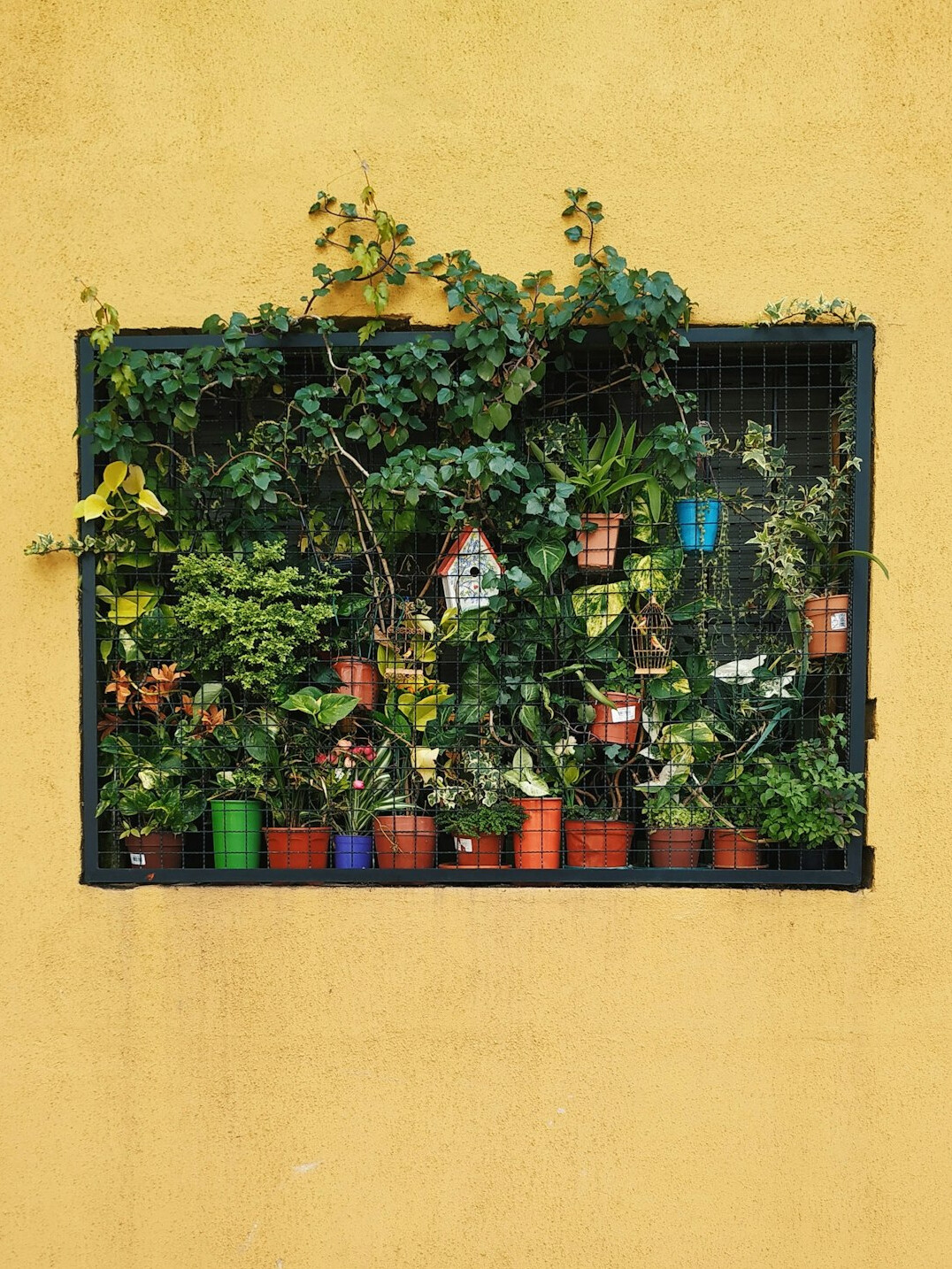 Seasonal gardening calendar pinned on a wall beside hanging plants