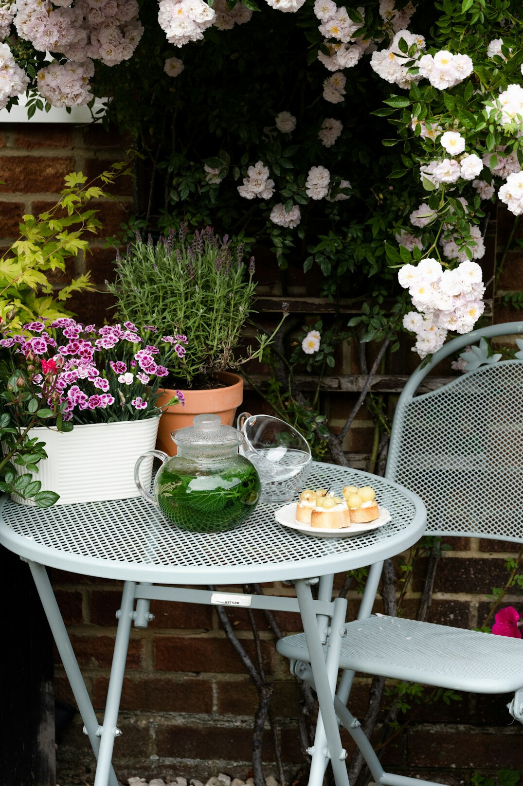 Garden patio with plants in changing seasonal light