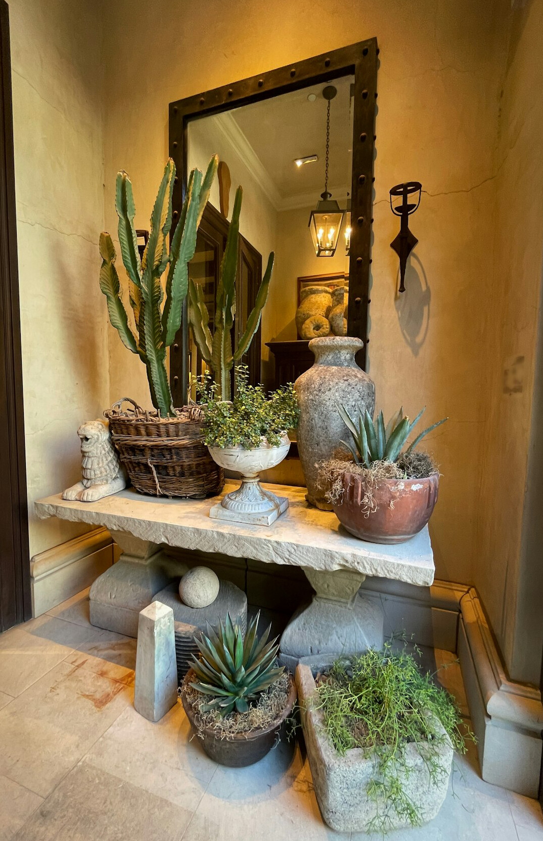Shelf of small succulents and cacti in clay pots