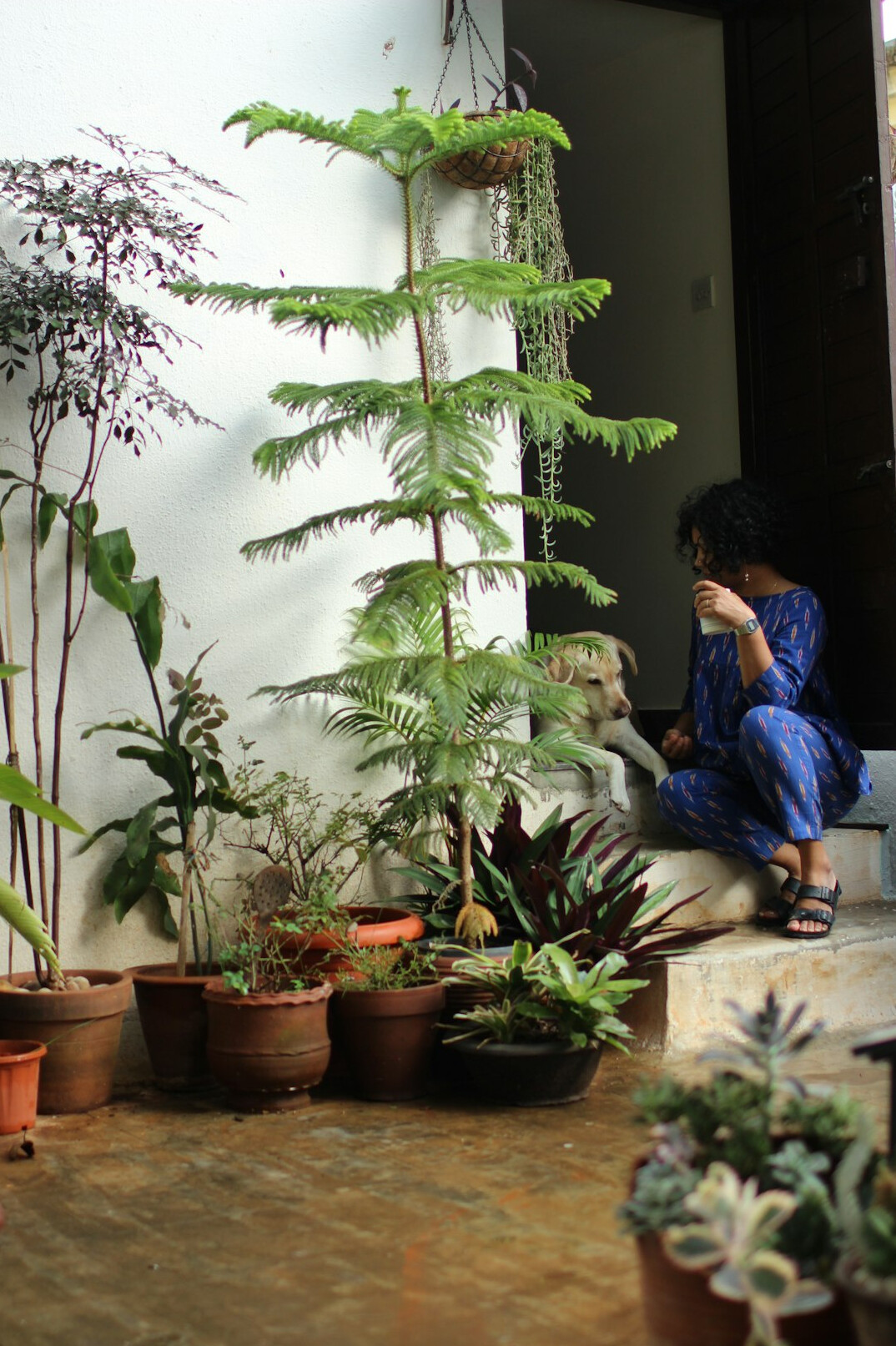family caring for indoor plants