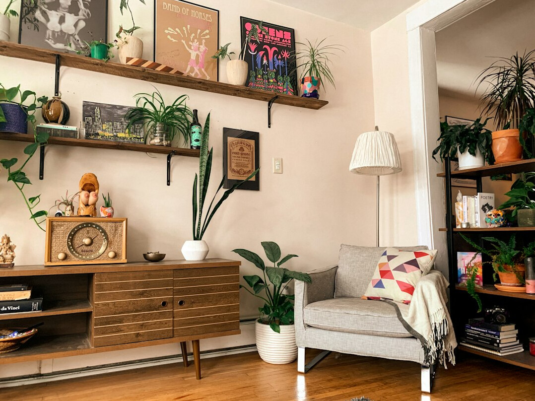 indoor plants in apartment