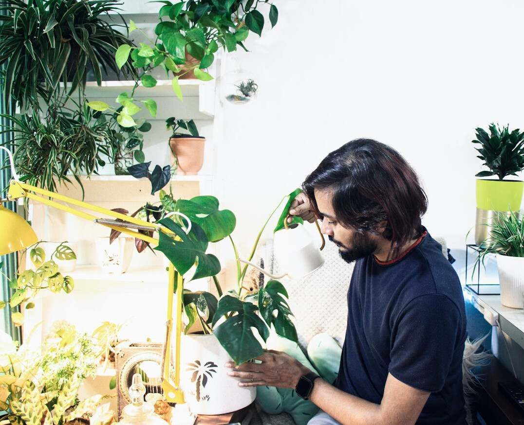 woman watering indoor plants