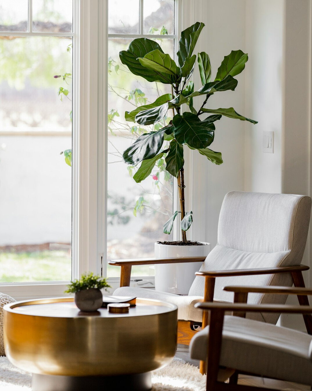modern living room with indoor plants