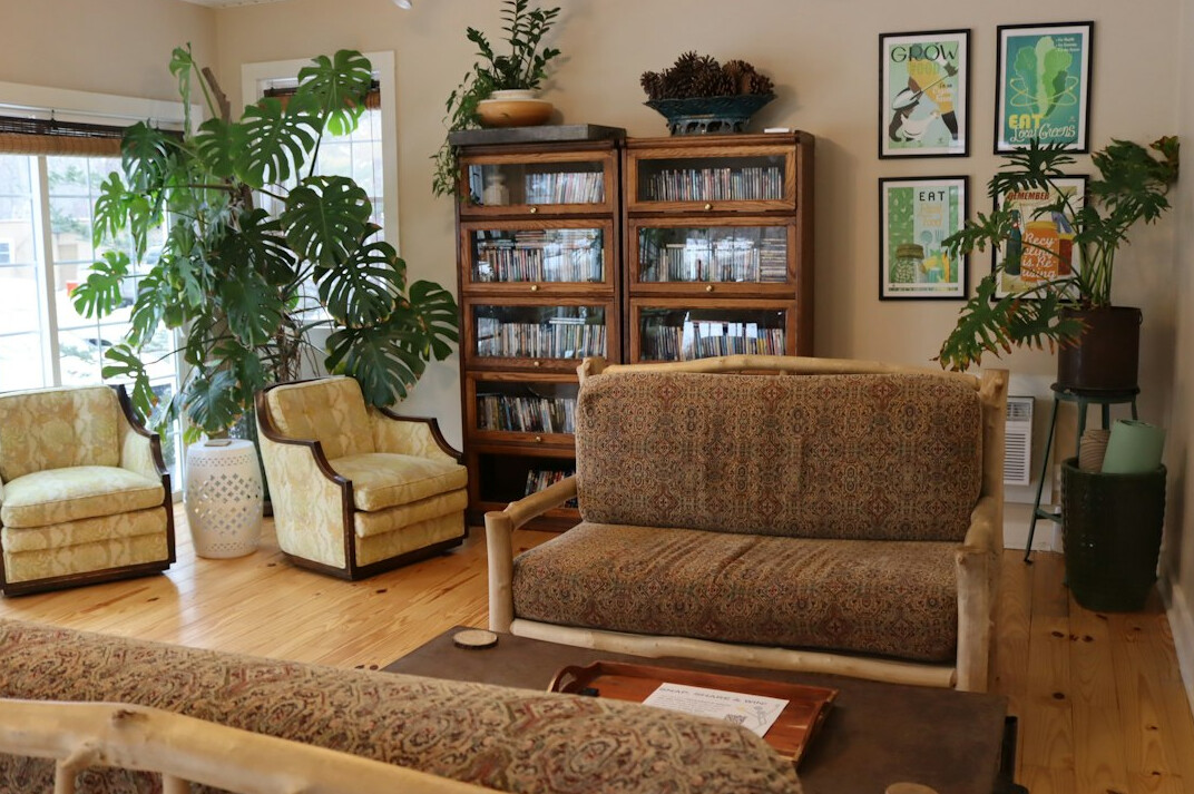 monstera plant in living room