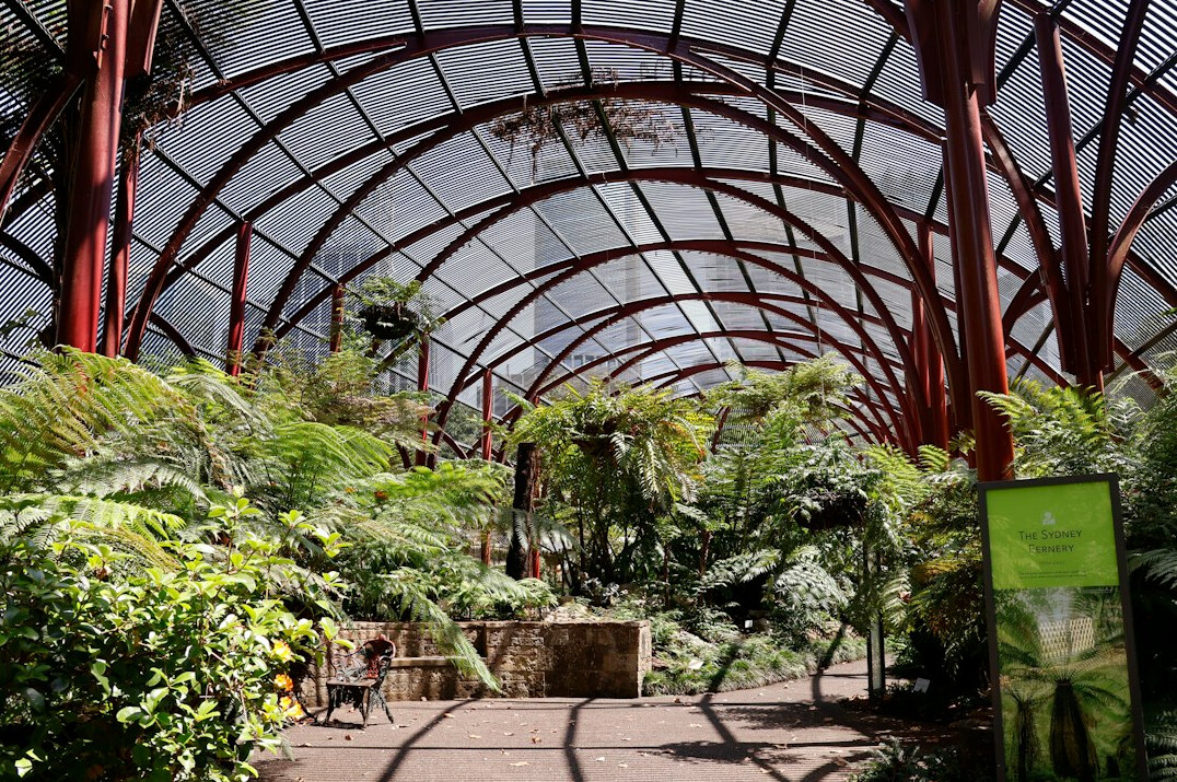 peaceful indoor garden